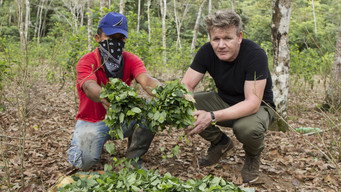 Gordon on Cocaine (2017)
