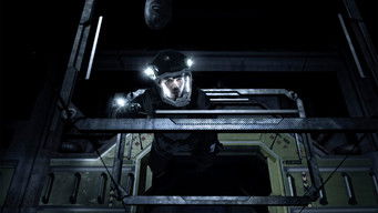 Steven Strait — photo 6