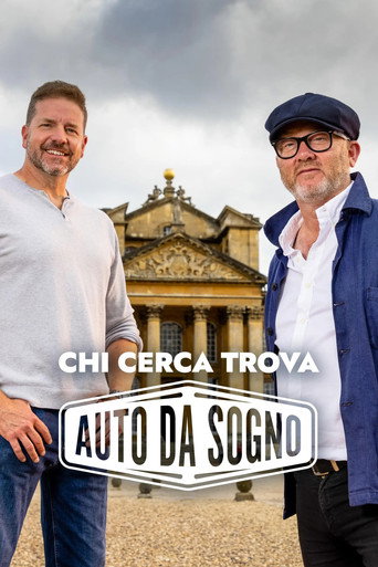 Locandina di Chi cerca trova auto da sogno