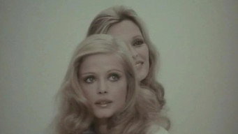 The Double (1971)