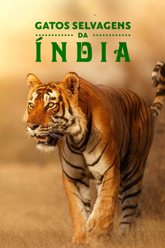 Gatos Selvagens da Índia