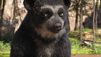 Milagros: Uma Ursa Extraordinária