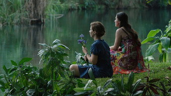 Wild Flowers (2016)