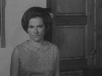 Episode 11 — Episode 11