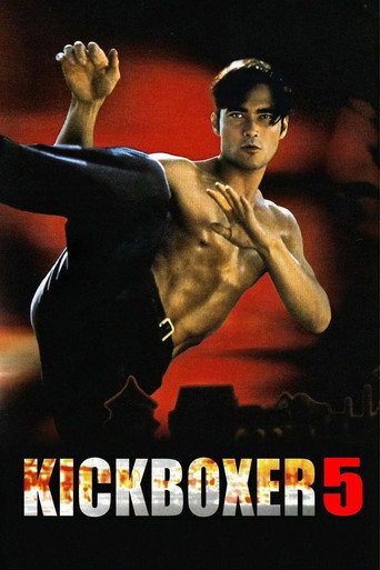 Cartell de Kickboxer 5