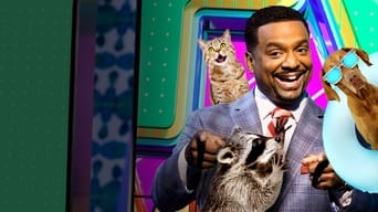 #2 America's Funniest Videos: Animal Edition