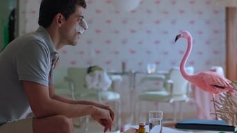 Galeria 4 - Tiempo compartido