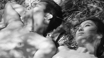 Полум'я в долині (1967)
