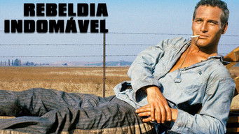 Cena de Rebeldia Indomável