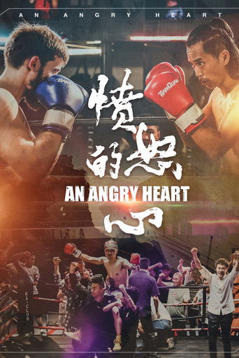 愤怒的心 poster
