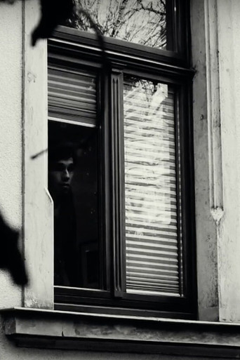 A Candy-Coloured Clown poster