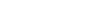 The Lowdown logo