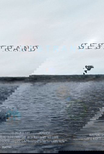 Gestrand (2023)