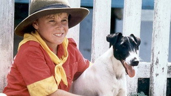 Fatty Finn (1980)