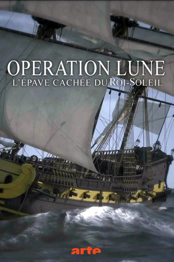 Op&eacute;ration Lune: L'&eacute;pave cach&eacute;e du Roi-Soleil (2013)