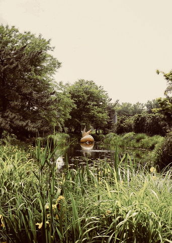 The Woman in the Grounds poster