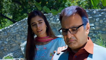 Chalay Thay Saath (2017)
