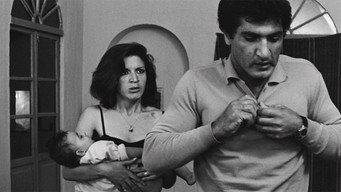 The Brick and the Mirror (1965)