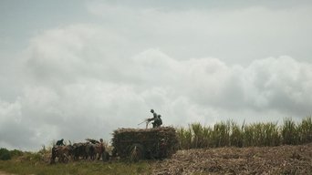 Le sucre, pour la douceur et pour le pire - S1E01