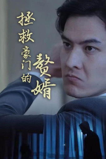 拯救豪门的赘婿 poster