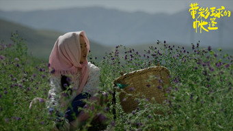 #4 The Time of a Flower