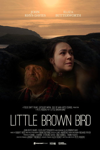 Little brown bird poster