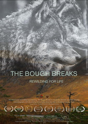 The Bough Breaks