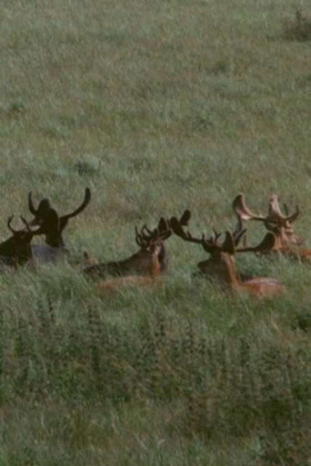Watch The Deer Garden: The Romantic Forest (1970) online free in HD