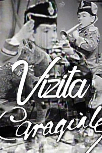 Vizita