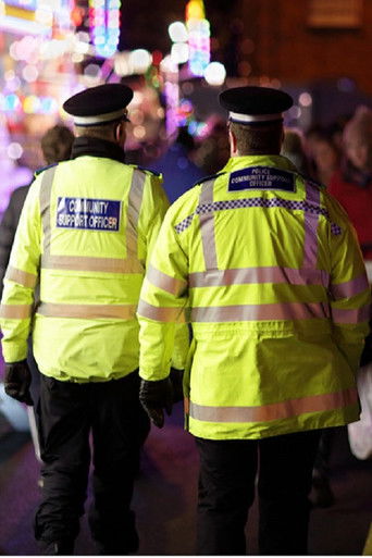 Unité d'élite : police en action poster