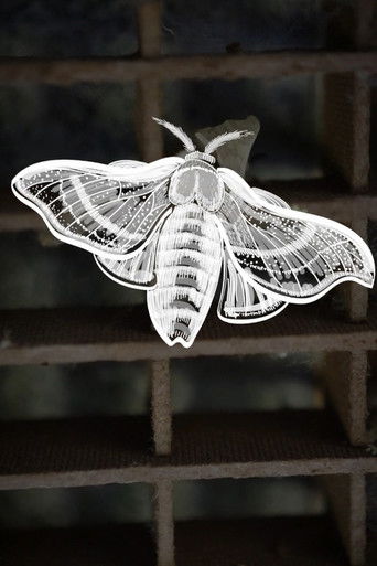 Metallic Silk poster