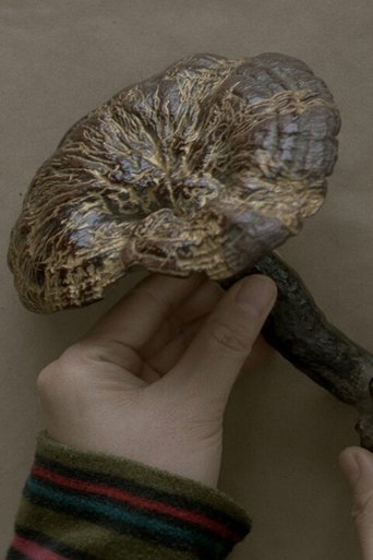 Tracing Imperfection poster