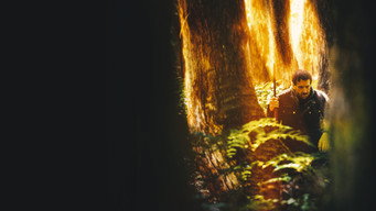 The Cost (2022)