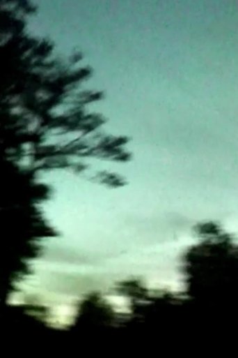 Magnanimous Despair poster