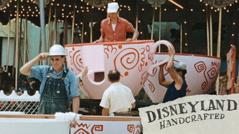 #4 Disneyland Handcrafted