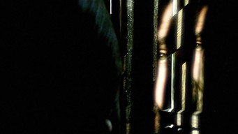 The Underneath (2006)