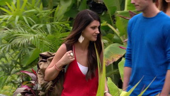 Love in the Wild (2011-2012)