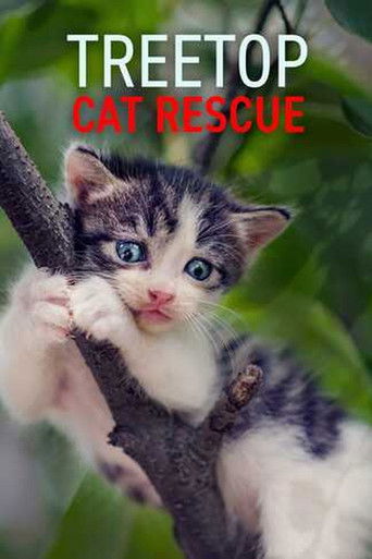 Treetop Cat Rescue