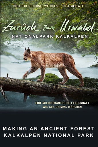 Making An Ancient Forest - Kalkalpen National Park (2015)