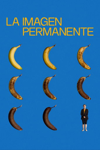 Póster de La imatge permanent