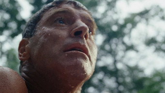 #44 The Swimmer