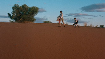 #40 Walkabout