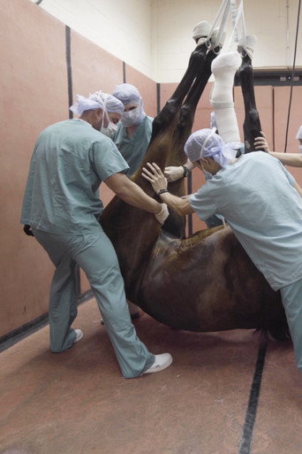 The Odds (Part 1) (2019)