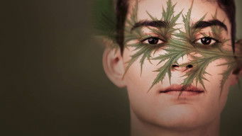 Galeria 5 - Charlatán