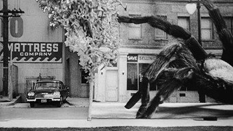 The Spider (1958)