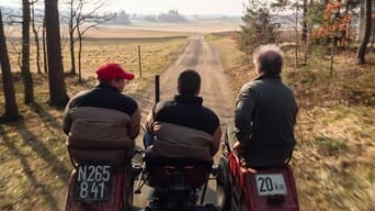 Over the Years (2015)