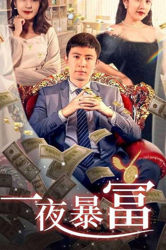 一夜暴富 poster