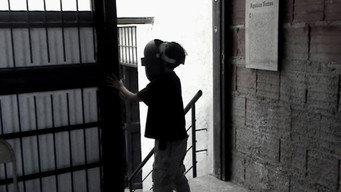 Color Runaway Dog (2011)