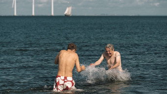 Fantasten (2017)