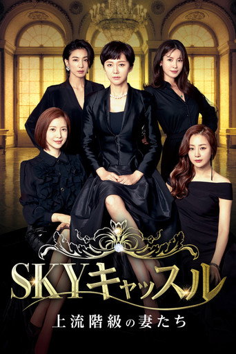 SKYキャッスル 　～上流階級の妻たち～